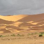 ROBINSON startet schon am 04. Oktober 2007 in den Sommer 2008