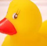 Quietsche-Entchen, Cocktails oder Business-Theater