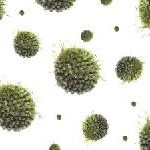 Kaspersky Lab veröffentlicht Maintenance Pack 1 für Kaspersky Anti-Virus Mobile 6.0