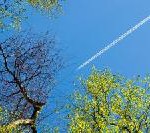 PATA protestiert gegen Umweltaktionismus zum Nachteil der Luftfahrt