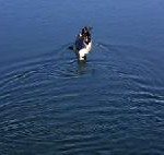 Baltikum, Masuren und das frühere Ostpreußen per Rad