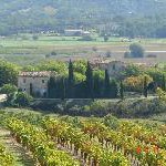 Provence für Connaisseure. Das Weingut Domaine la Coquillade eröffnet ein exklusives Demeure de Prestige mit 28 Luxuszimmern/Suiten über dem Tal des Calavon.
