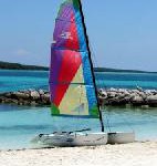 Höchstleistungen unter Palmen: Karibische Sportevents 2008