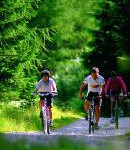 Per Pedal über Berg und Tal: Mountainbiking im Trentino