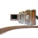 Fotos und Musiksammlungen sind vom digitalen Datensterben bedroht