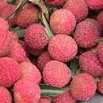 PATA „Tourism Forecast 2008-2010“ – Reiseanalyse für den wichtigsten Wachstumsmarkt