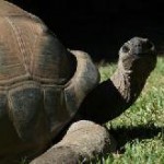 Travel Guide Galapagos