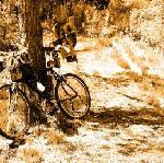 Mit dem Mountainbike den Kahlen Asten erklimmen