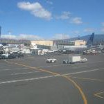 Neue Economy Class Gepäckbestimmungen bei Continental Airlines