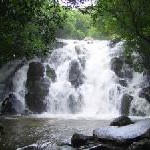 Mauritius: Vogel-Touren auf der Kokos-Insel