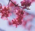 Eva Air mehrfach ausgezeichnet