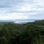 Karneval zwischen Riff und Regenwald