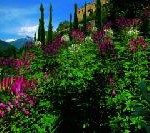 Korallenriffe, Ötzi und 50.000 Glocken