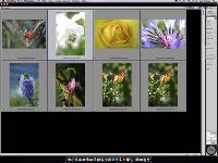 Neues Photoshop Print Plugin von Epson erhöht die Produktivität und Flexibilität im Farbmanagement