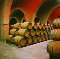 Spanien: Römersiedlung in Arellano – die Weinwelt aus dem 3. Jahrhundert