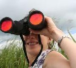 Highway zu mehr Wissen – Bildungsportal mit 125.000 Angeboten gestartet