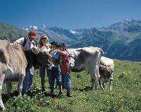 Die Schweiz hat tierisch gute Angebote für Ausflüge im Sattel