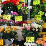 MyPreisvergleich.de – Neue Preissuchmaschine, Preisvergleich geht an den Start