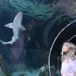 Gucken was da schwimmt