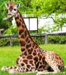 Ferienspaß für Groß und Klein: Die Ringhotels Erlebnisarrangements bieten Abenteuer und Erholung für die ganze Familie