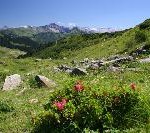 Rauf und runter: Bergwandern in Österreich