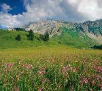 „Schweiz pur“ bietet Urlaubserlebnisse im Einklang mit der Natur