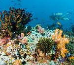 Mehr Service und neue Angebote im exklusiven Tauch- und Wassersportzentrum auf Baros