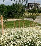 Investition für Natur, Umland und Infrastruktur: Airport Nürnberg setzt Zeichen für die Zukunft