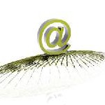Studienergebnis – Wie man E-Mail-Adressverteiler optimal ausnutzt
