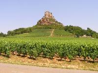 Burgund: Tipps für Feinschmecker in der französischen Provinz