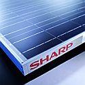 Sharp: Führungsposition im Solarmarkt der Zukunft