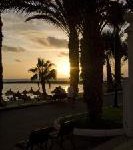 Wellness à la Teneriffa: Unter freiem Himmel Frühlingsfrische rund ums Jahr