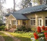 Residieren wie ein Teebaron: Urlaub auf einer Ceylon Tee Plantage