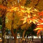 Herbsturlaub: Richtig beladen durch den Herbst