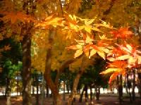 Herbsturlaub: Richtig beladen durch den Herbst