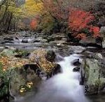 Ausflüge zur koreanischen Arche Noah