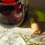 Die exotischsten Tropfen der Welt „Made by Germans“ – Privatreise ins einzige Weingut Burmas