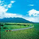 Weihnachten fängt bereits am 1. Dezember an