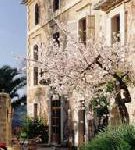 Mit Blüten reisen: Im Januar beginnt auf der Baleareninsel die Mandelblüte