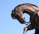 Querétaro – Mexikos koloniales Juwel