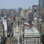 Bette Midler möchte eine Million Bäume in New York pflanzen