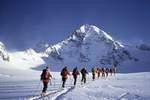 Osttirol sanft: „Schneehasentouren mit dem Nationalpark-Ranger“