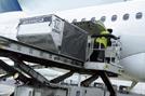 Swissport and Lufthansa Cargo conclude major agreement for Amsterdam