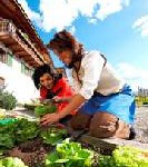 „Roter Hahn“: Natur ganz aufgeweckt