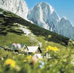 „Kochen und essen, was die Natur hergibt“: Schlemmertouren in den Bergdörfern der Alpen