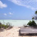 Karibische Preisoffensive – Zahlreiche Hotels auf den Großen und Kleinen Antillen locken mit attraktiven Angeboten