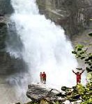 „Almsommer & Bauernherbst“: Der Nationalpark als Biogenusswelt