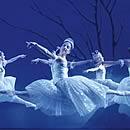 Oper am Rhein für Alle in Düsseldorf am 29. August 2009