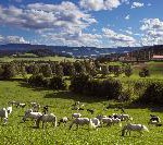 Wein, Architektur & Genusskultur in der Südsteiermark