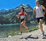 Steinadler zum Greifen nah